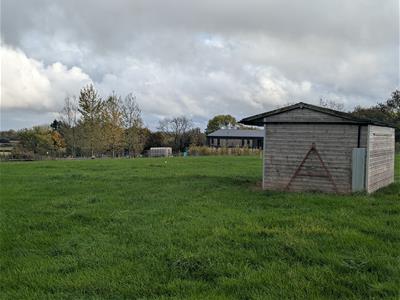 Picture 5